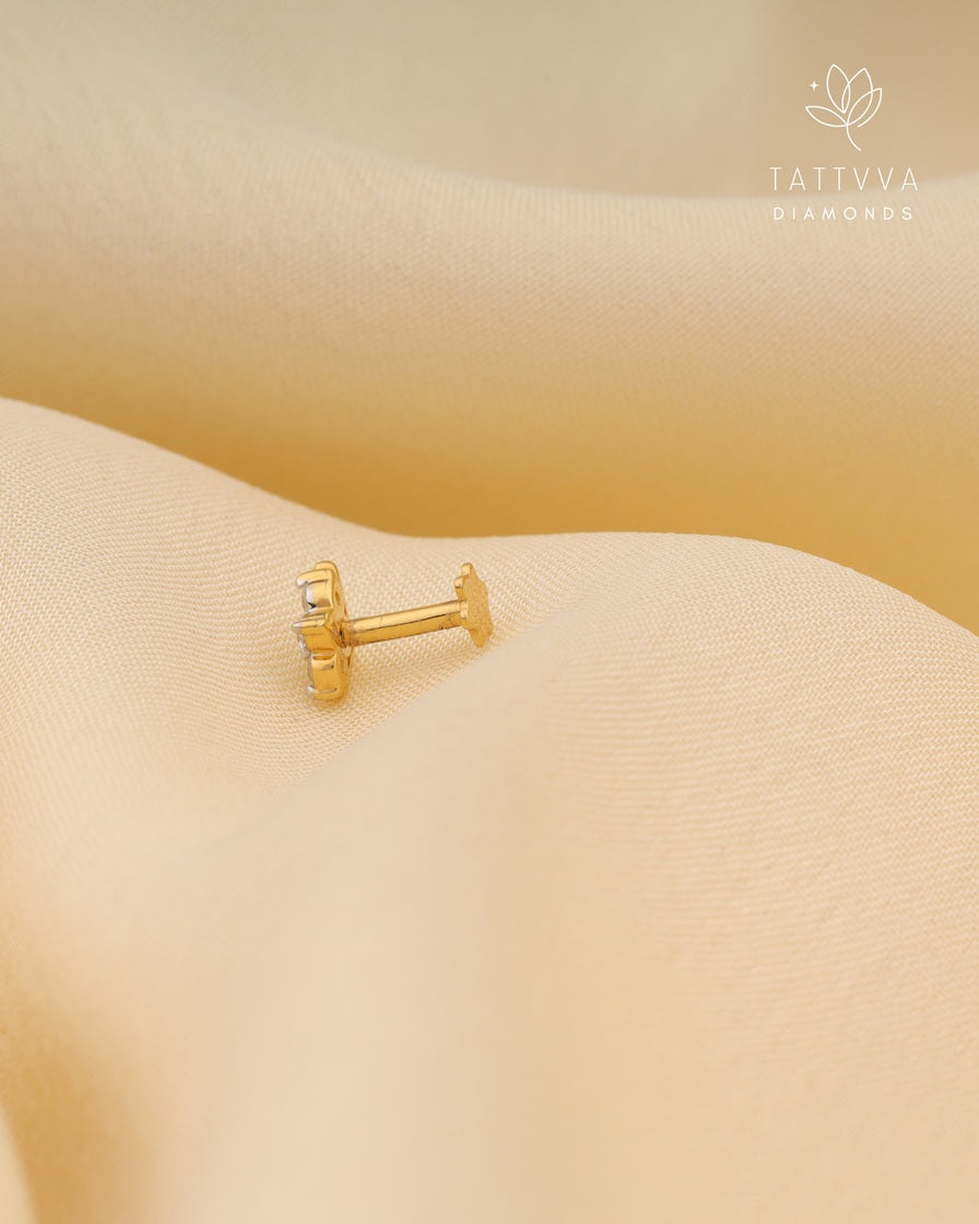 Tattvva Lume