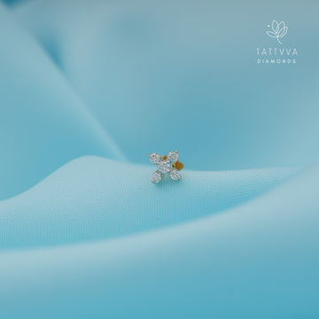 Twinkle Bloom